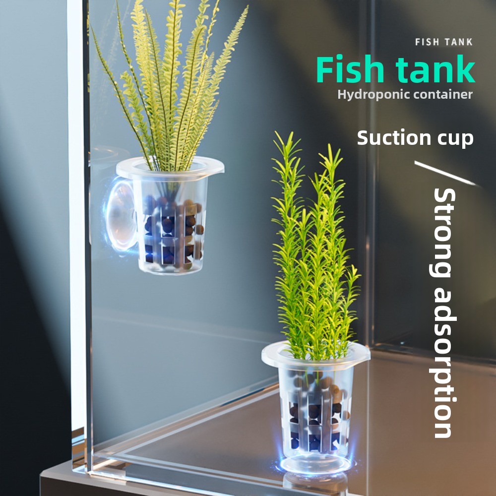 Aquarium Plant Ornament - 10 Stück Transparente Hydrokultur-Pflanzentöpfe aus Kunststoff