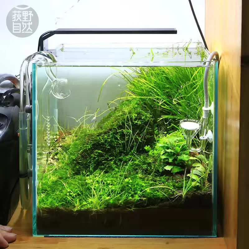 Aquarium Plant Ornament - Spirituosen C-Serie ADA-Stil Pflanze wachsen LED-Licht