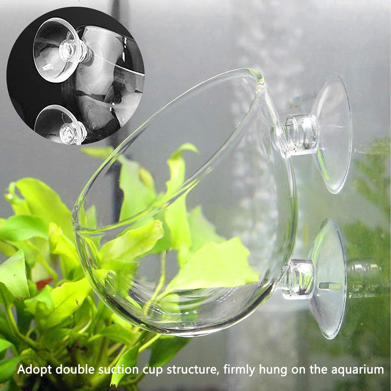 Aquarium Plant Vine - Aquarium-Glas-Pflanztopf mit Saugnäpfen, Halter für lebende