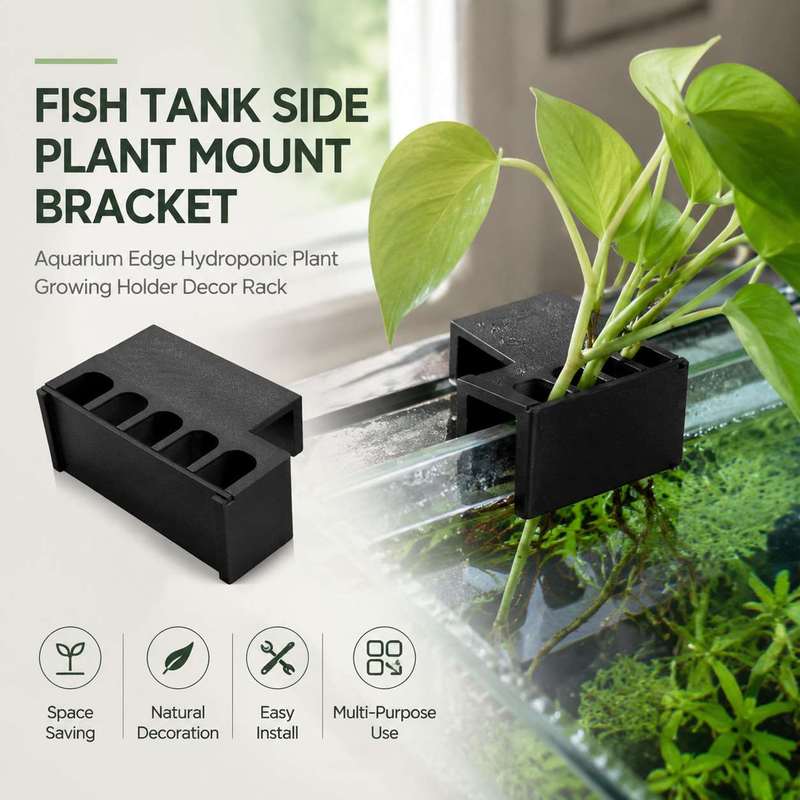 Aquarium Planted Soil - Aquarium-Seitenhalterung für Pflanzen, Hydroponischer Pflanzenhalter für
