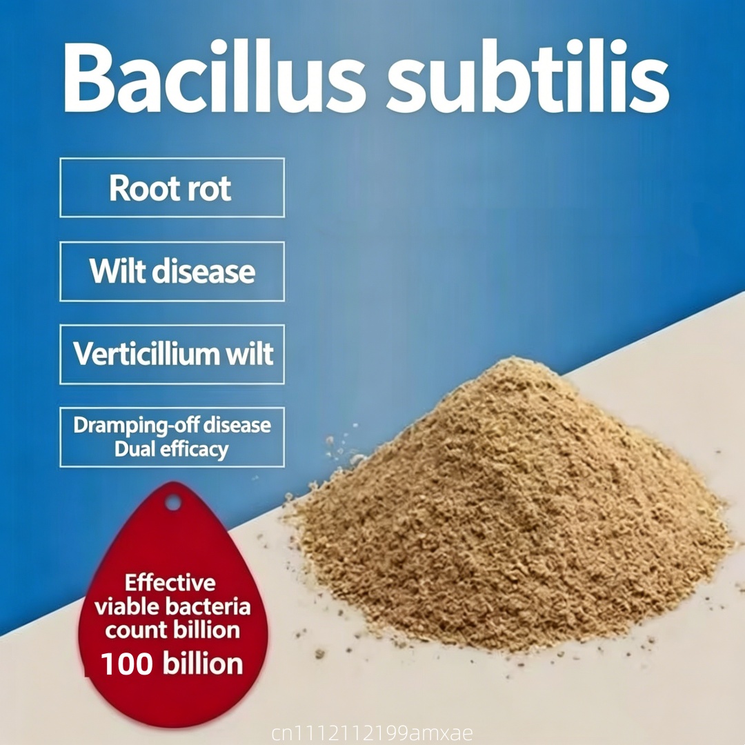 Aquarium Planted Soil - Hochwirksames Bacillus Subtilis Pulver Organischer Probiotischer