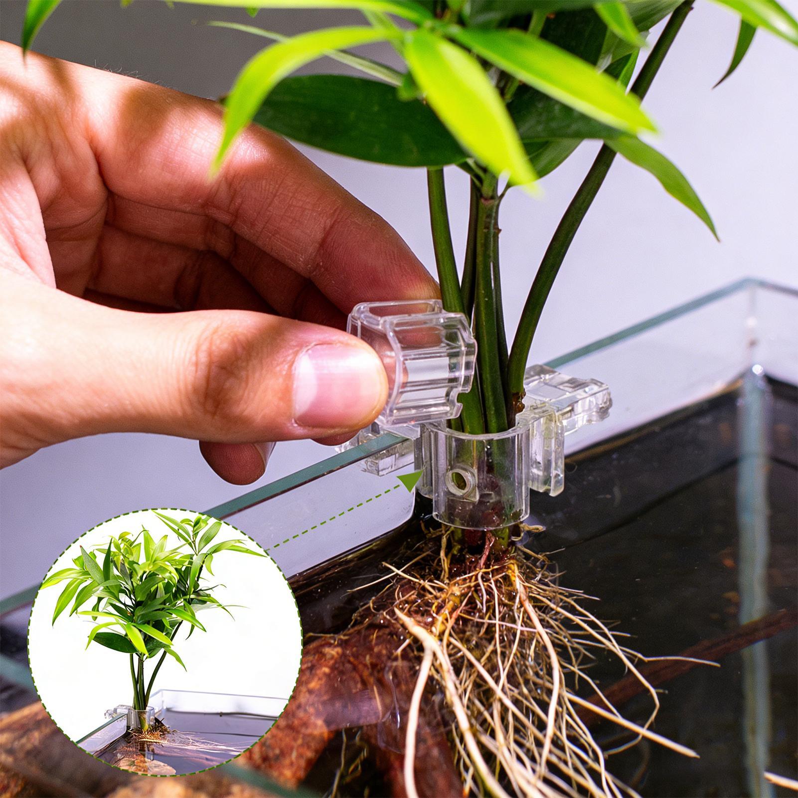 Aquarium Plant Ornament - 6 Stück Aquarium-Pflanzenhalter Transparente Pflanzhalterung Aufhängbare