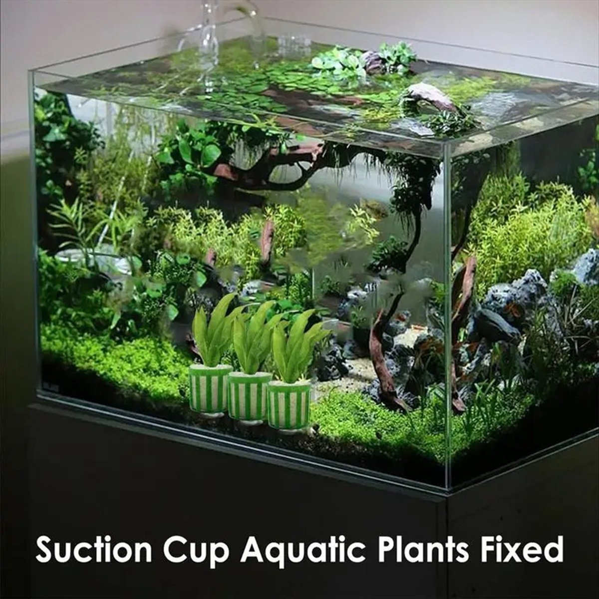 Planted Aquarium Tool Kit - ABNQ Aquatische Pflanzenhalterung 10 Stück Aquarium-Pflanzenbefestigungsset
