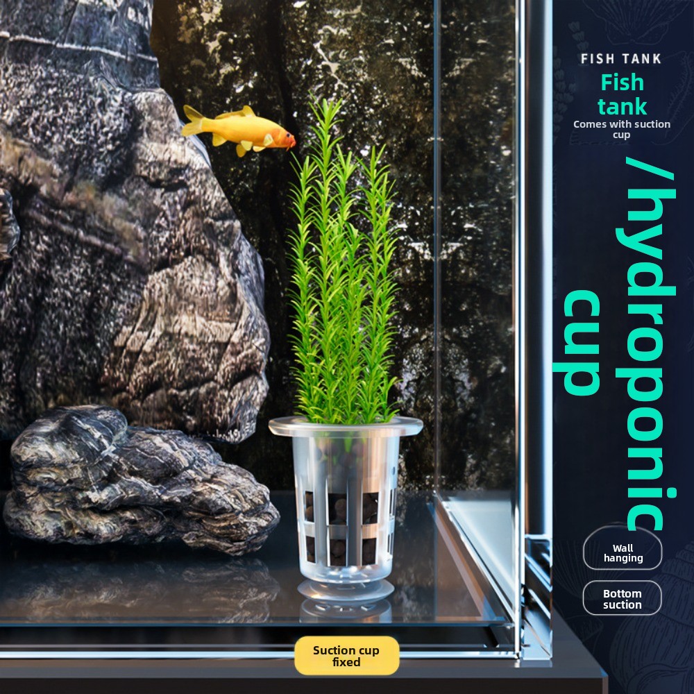 10 Stück Transparente Hydrokul – Aquarium Plant Ornament Bewertung und Preis