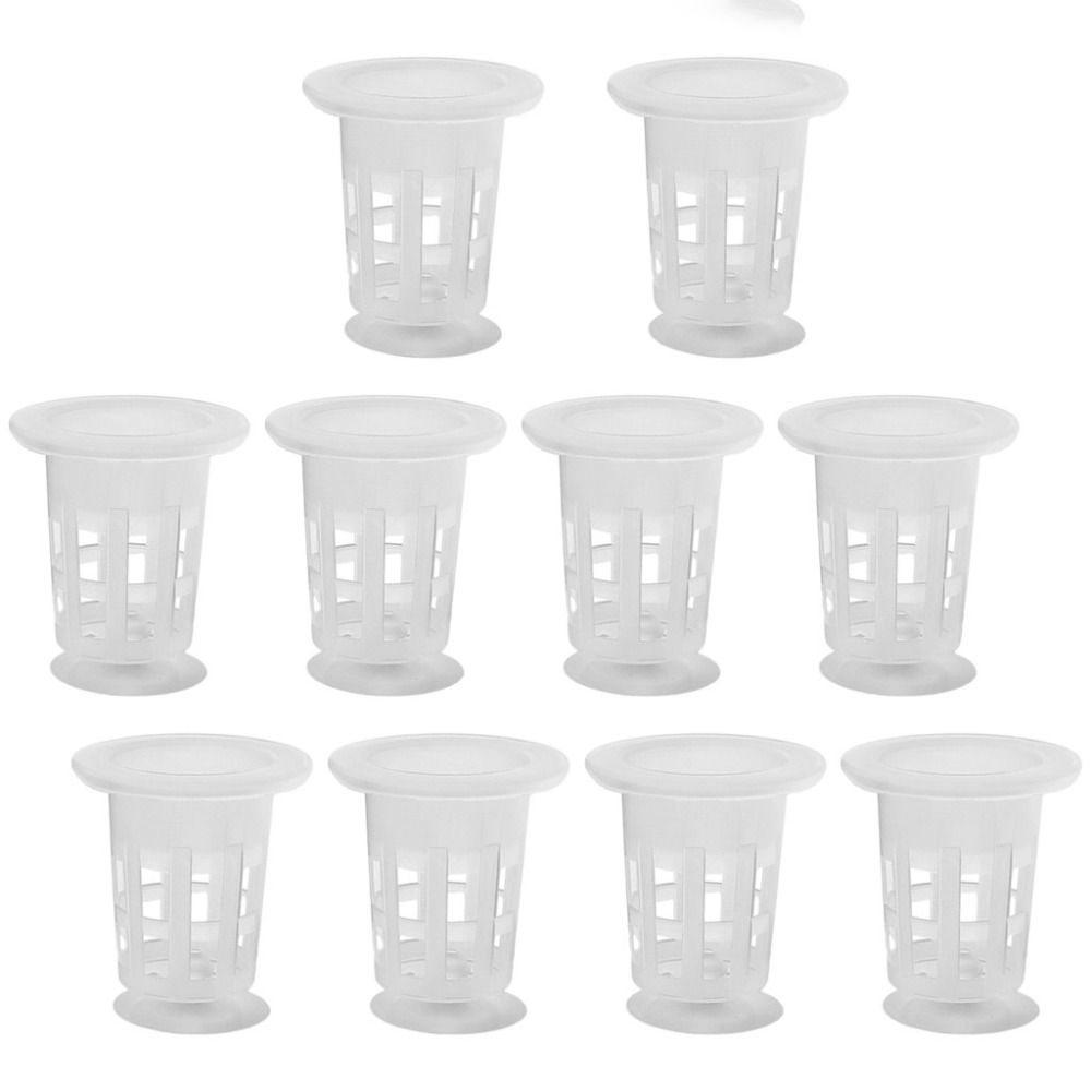 10 Stück Transparente Hydrokul – Aquarium Plant Ornament Bewertung und Preis