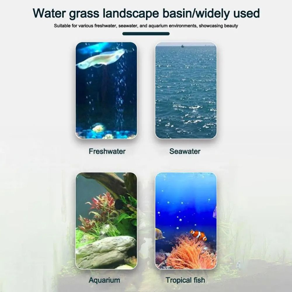 10 Stück Transparente Hydrokul – Aquarium Plant Ornament Bewertung und Preis