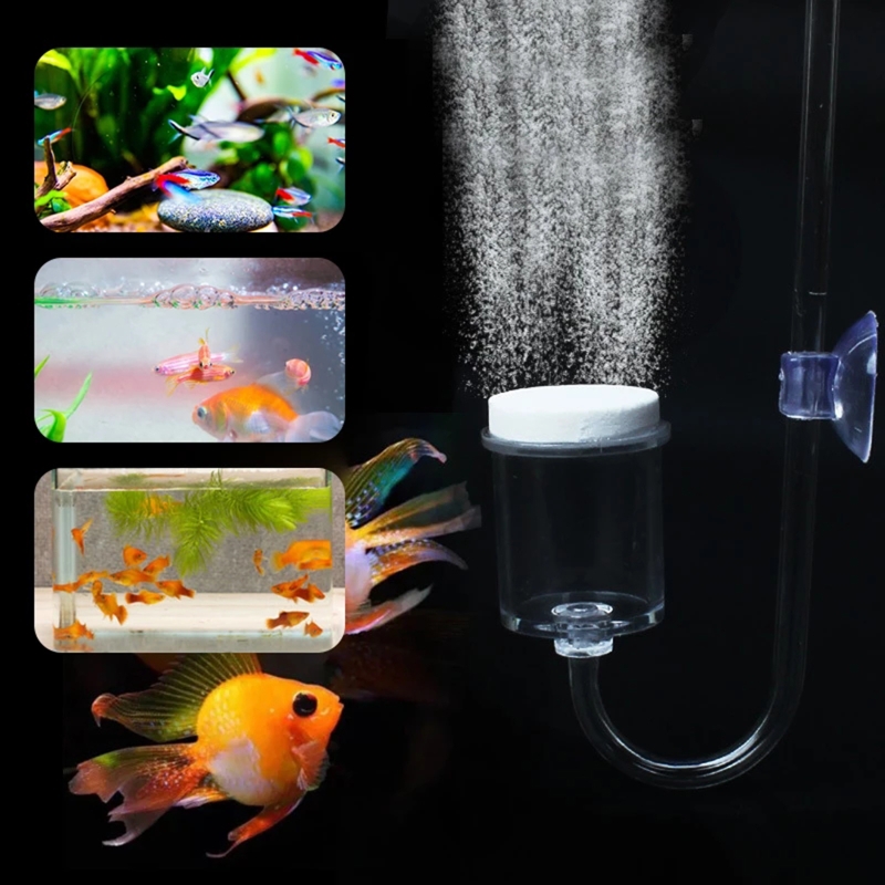 4 stücke Set DIY CO2-Diffusor  – Aquarium Plant Vine Bewertung und Preis