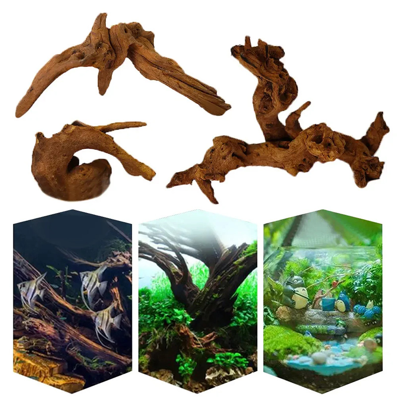 Meistverkaufte Neue Aquarium-D – Aquarium Planted Soil Bewertung und Preis
