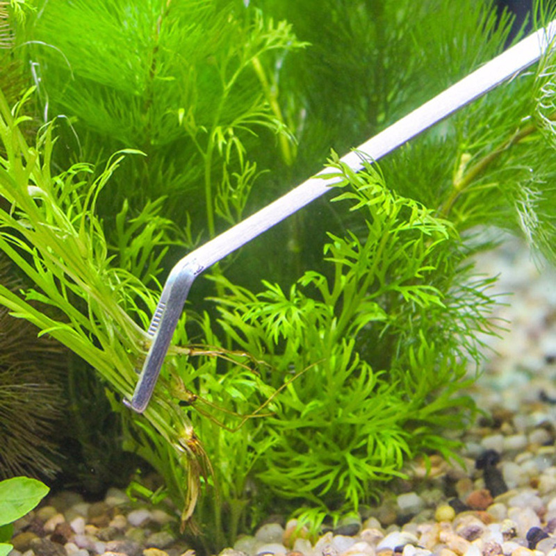 Professionelles Aquarium-Wartu – Planted Aquarium Tool Kit Bewertung und Preis