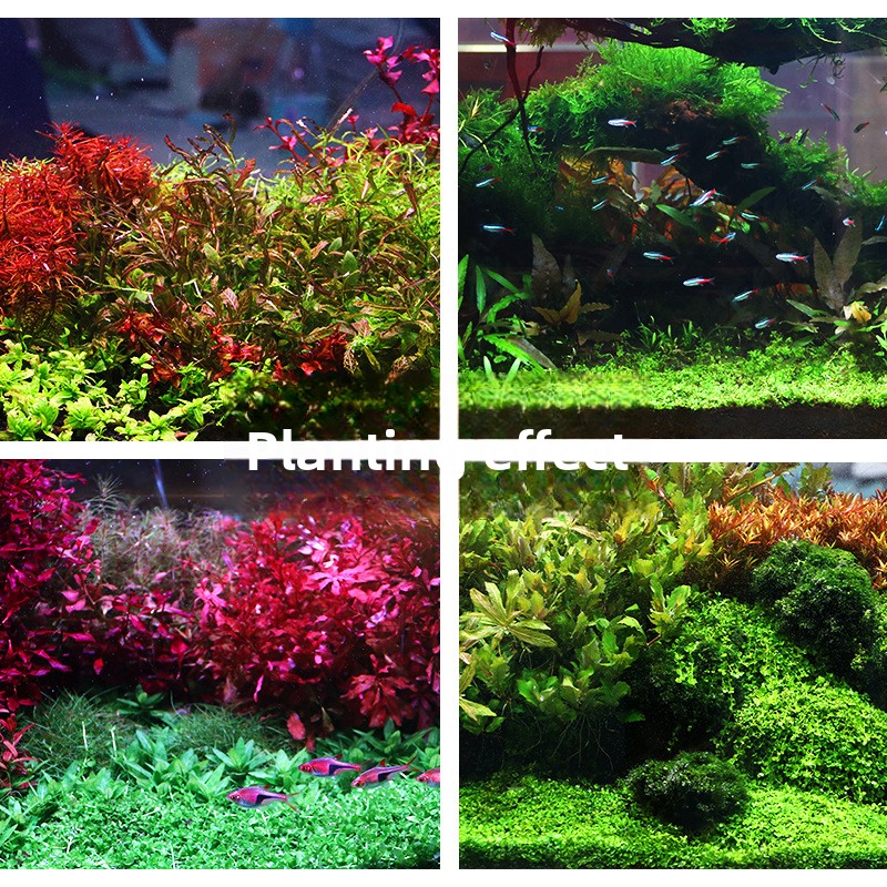 SYSENCIAGA Planted Aquarium Su – Aquarium Planted Soil Bewertung und Preis