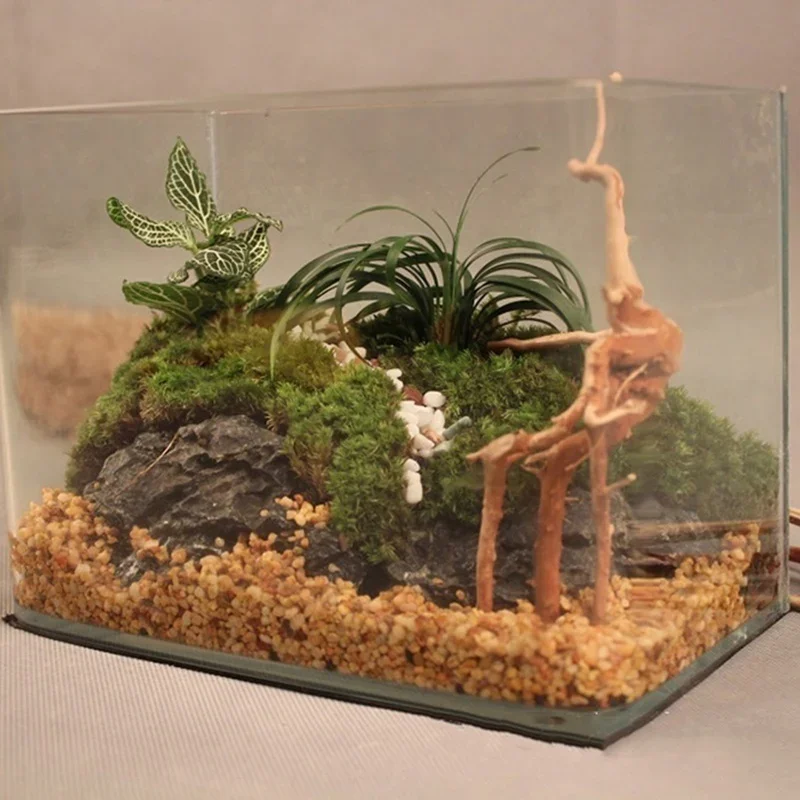 Natürlicher Baumstamm Treibhol – Aquarium Planted Soil Bewertung und Preis