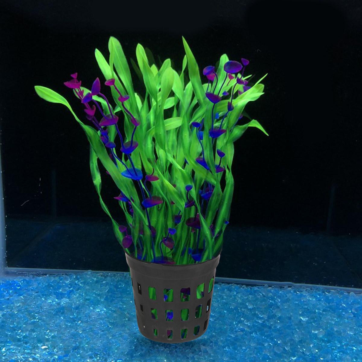 10 Stück Aquarium-Pflanzbehält – Aquarium Planted Soil Bewertung und Preis