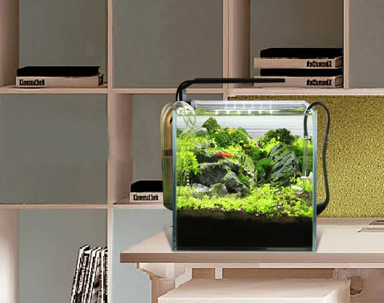 Spirituosen C-Serie ADA-Stil P – Aquarium Plant Ornament Bewertung und Preis