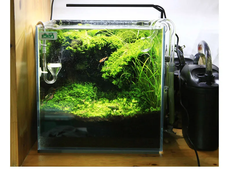 Spirituosen C-Serie ADA-Stil P – Aquarium Plant Ornament Bewertung und Preis