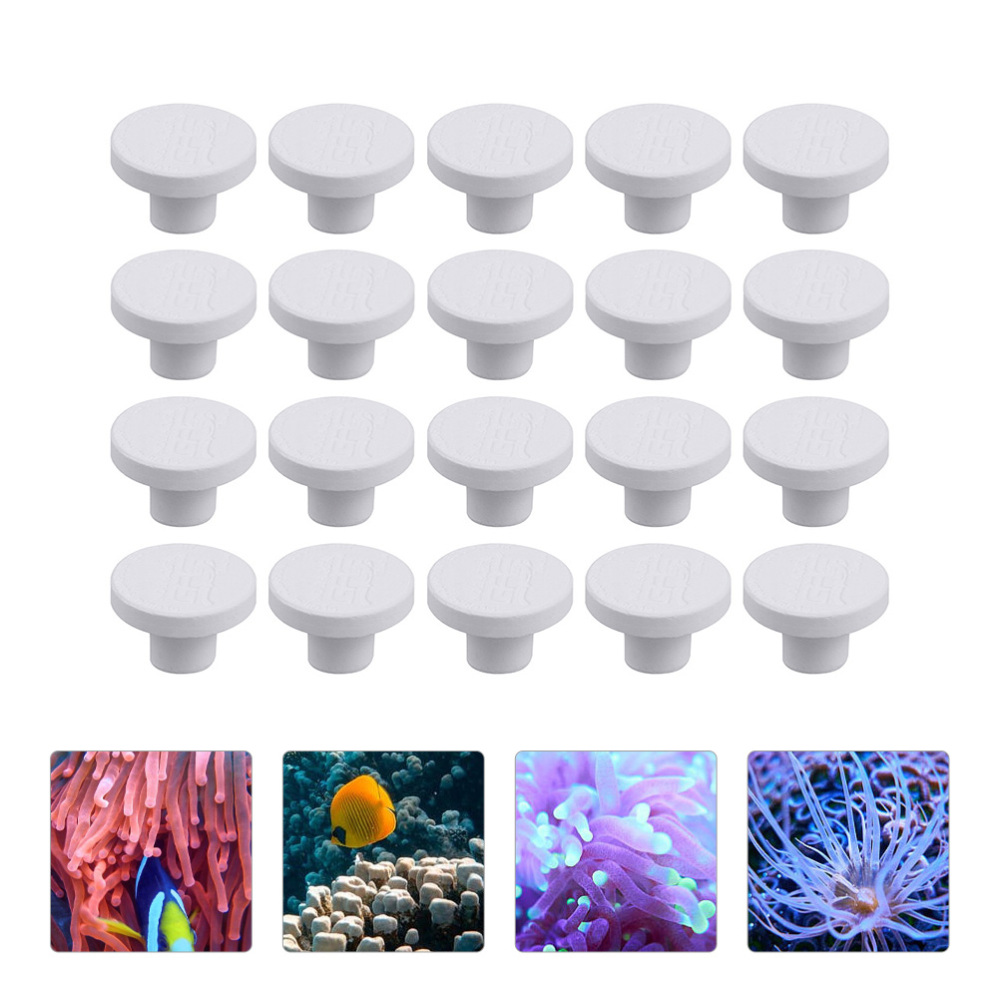 SPS Keramik-Korallen-Frag-Plat – Aquarium Plant Ornament Bewertung und Preis