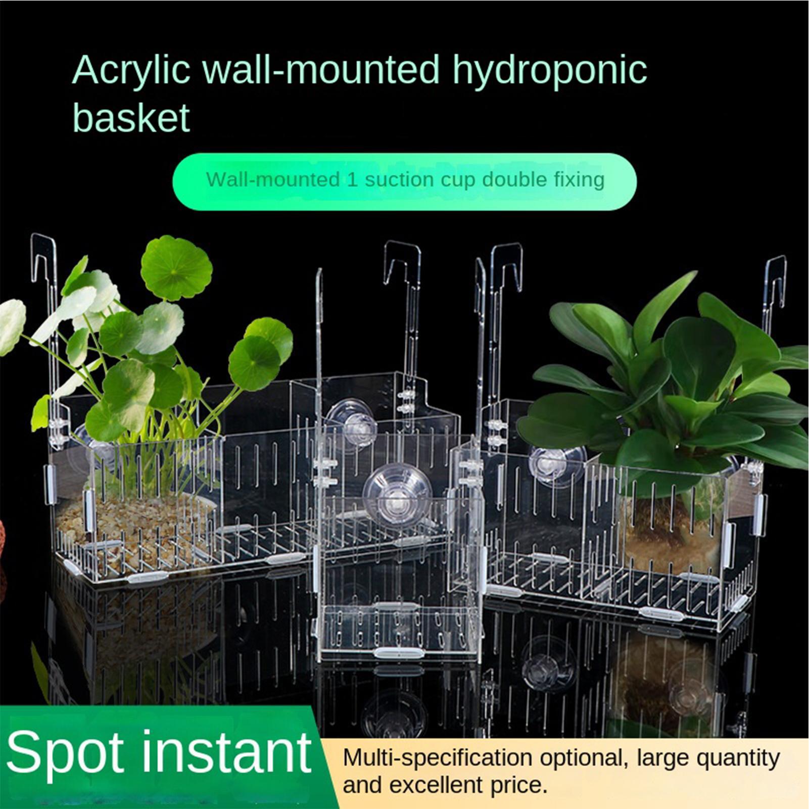 Acryl-Aquarium-Pflanzenhalter  – Aquarium Plant Vine Bewertung und Preis