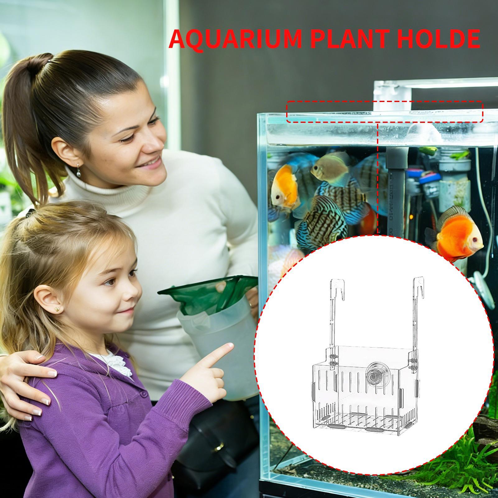 Acryl-Aquarium-Pflanzenhalter  – Aquarium Plant Vine Bewertung und Preis
