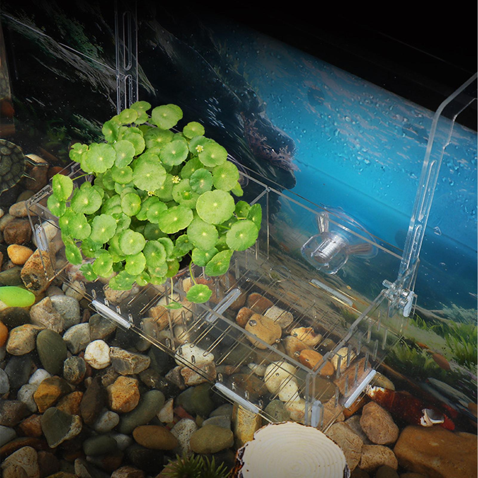 Acryl-Aquarium-Pflanzenhalter  – Aquarium Plant Vine Bewertung und Preis