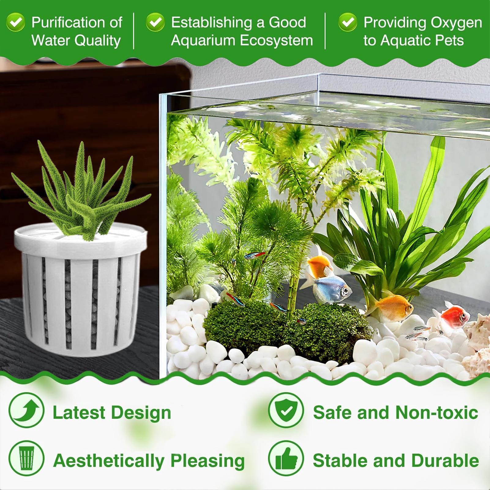 4-teiliger Aquarium-Pflanztopf – Aquarium Plant Ornament Bewertung und Preis