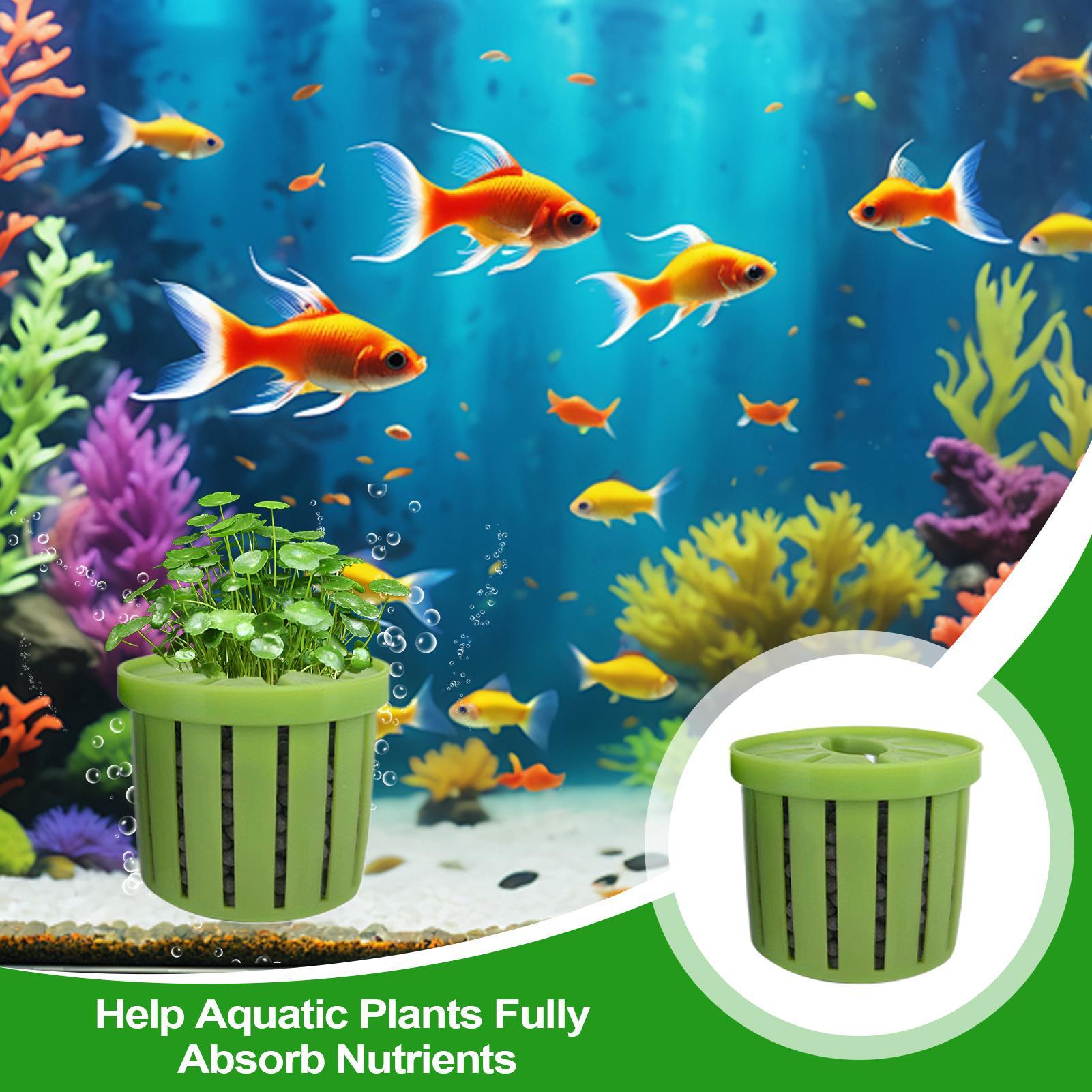 4-teiliger Aquarium-Pflanztopf – Aquarium Plant Ornament Bewertung und Preis