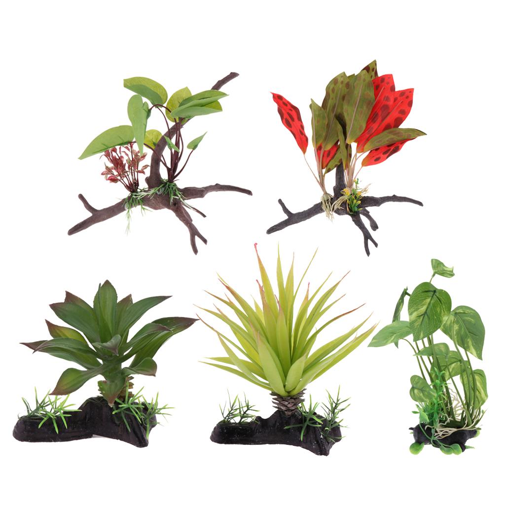 Reptilien-Terrarium-Pflanze, k – Aquarium Plant Vine Bewertung und Preis