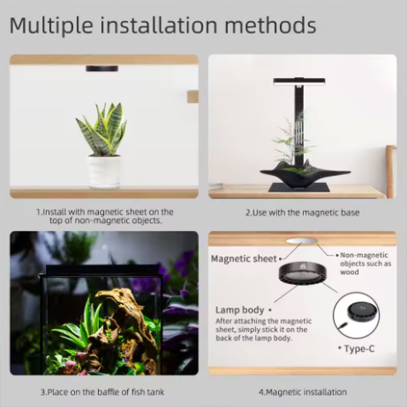 WEEK AQUA Mag Pro Mag Max Nano – Aquarium Plant Ornament Bewertung und Preis