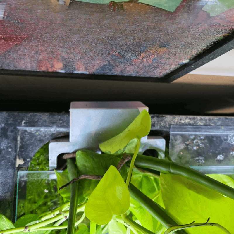 Aquarium-Seitenhalterung für P – Aquarium Planted Soil Bewertung und Preis