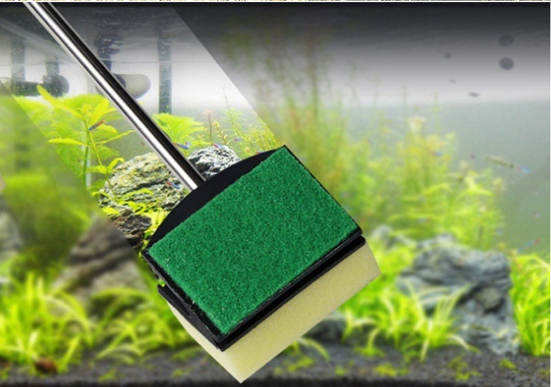 48 cm Edelstahl Aquarium Pinze – Planted Aquarium Tool Kit Bewertung und Preis