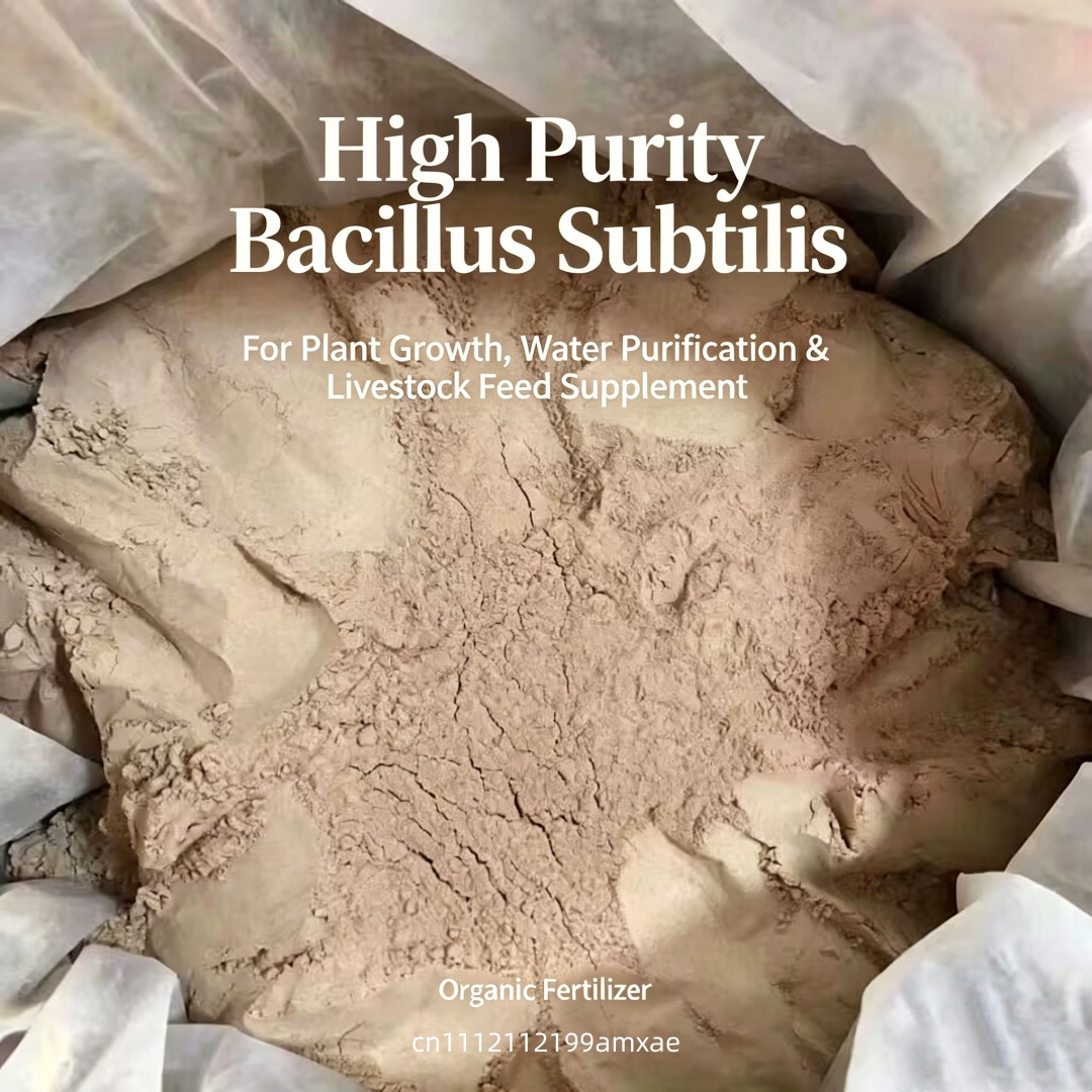 Hochwirksames Bacillus Subtili – Aquarium Planted Soil Bewertung und Preis