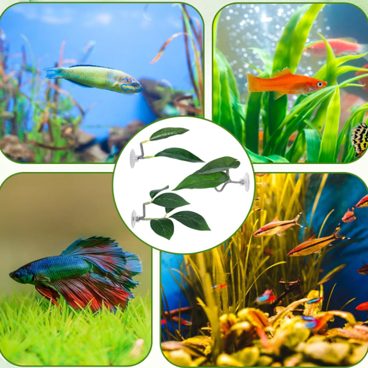 1 Stück Betta-Fisch-Hängematte – Aquarium Plant Ornament Bewertung und Preis