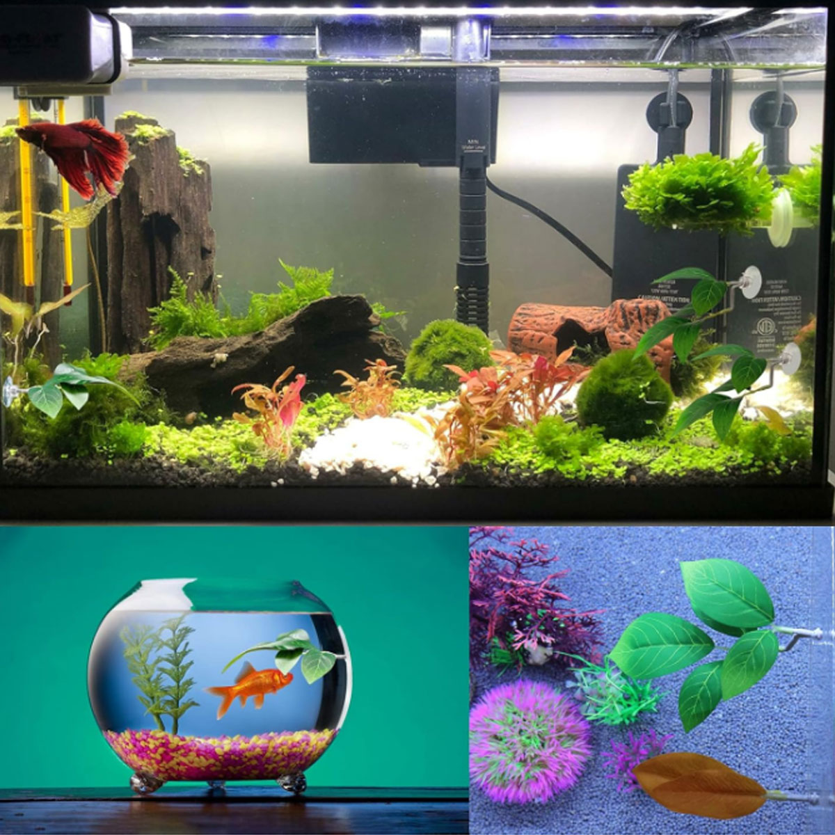 1 Stück Betta-Fisch-Hängematte – Aquarium Plant Ornament Bewertung und Preis
