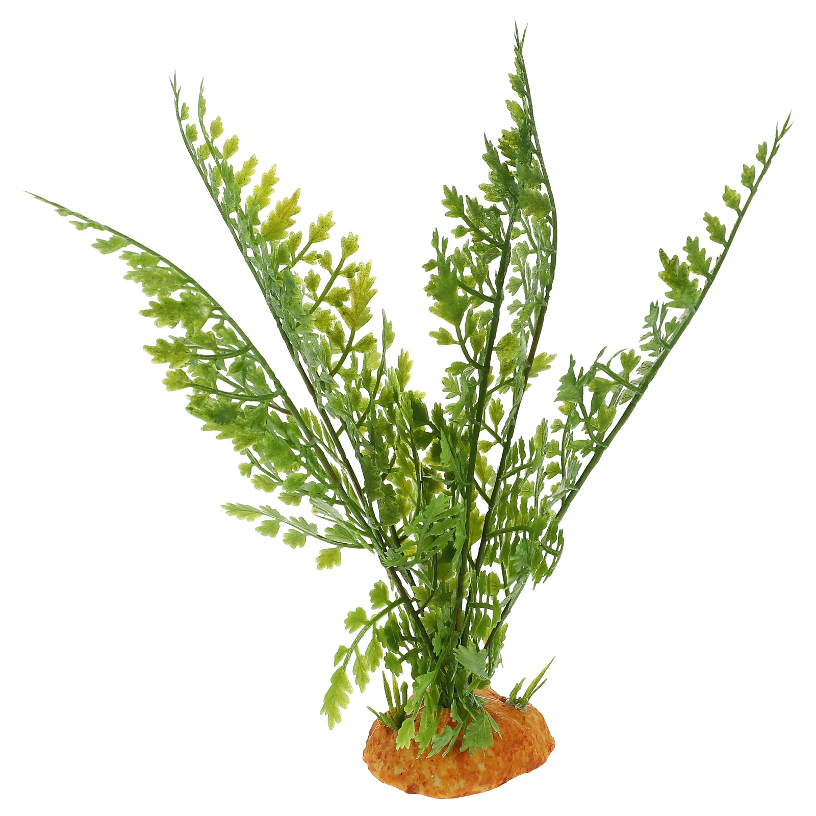 Reptilienpflanzen, Terrarium,  – Aquarium Plant Vine Bewertung und Preis