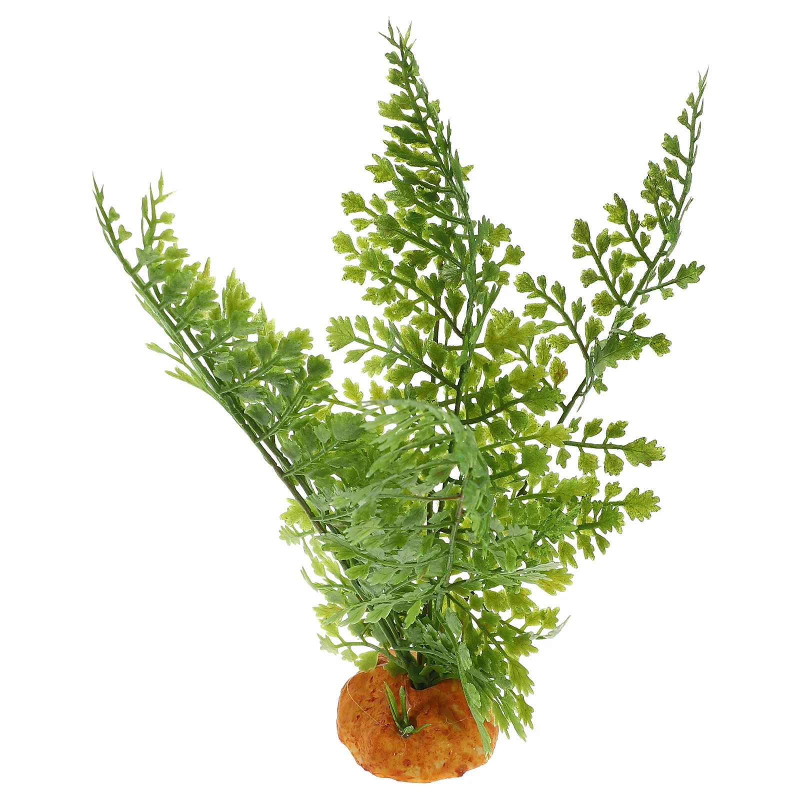Reptilienpflanzen, Terrarium,  – Aquarium Plant Vine Bewertung und Preis