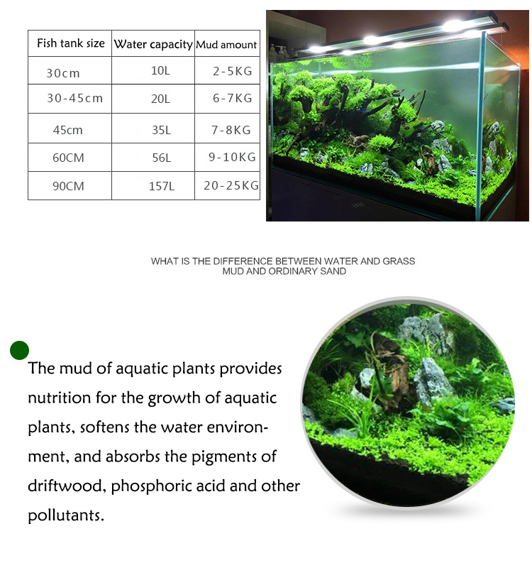 Aquarium Pflanzen Samen Boden  – Aquarium Planted Soil Bewertung und Preis