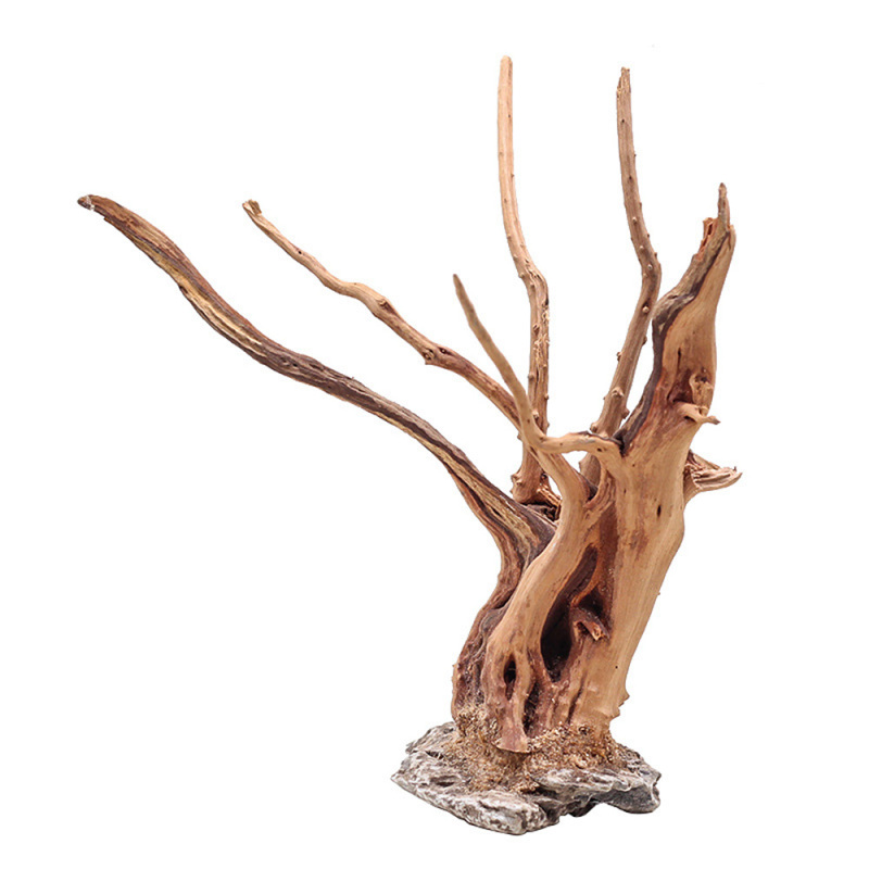 1PC Aquarium Landschaftsbau Ho – Aquarium Planted Soil Bewertung und Preis