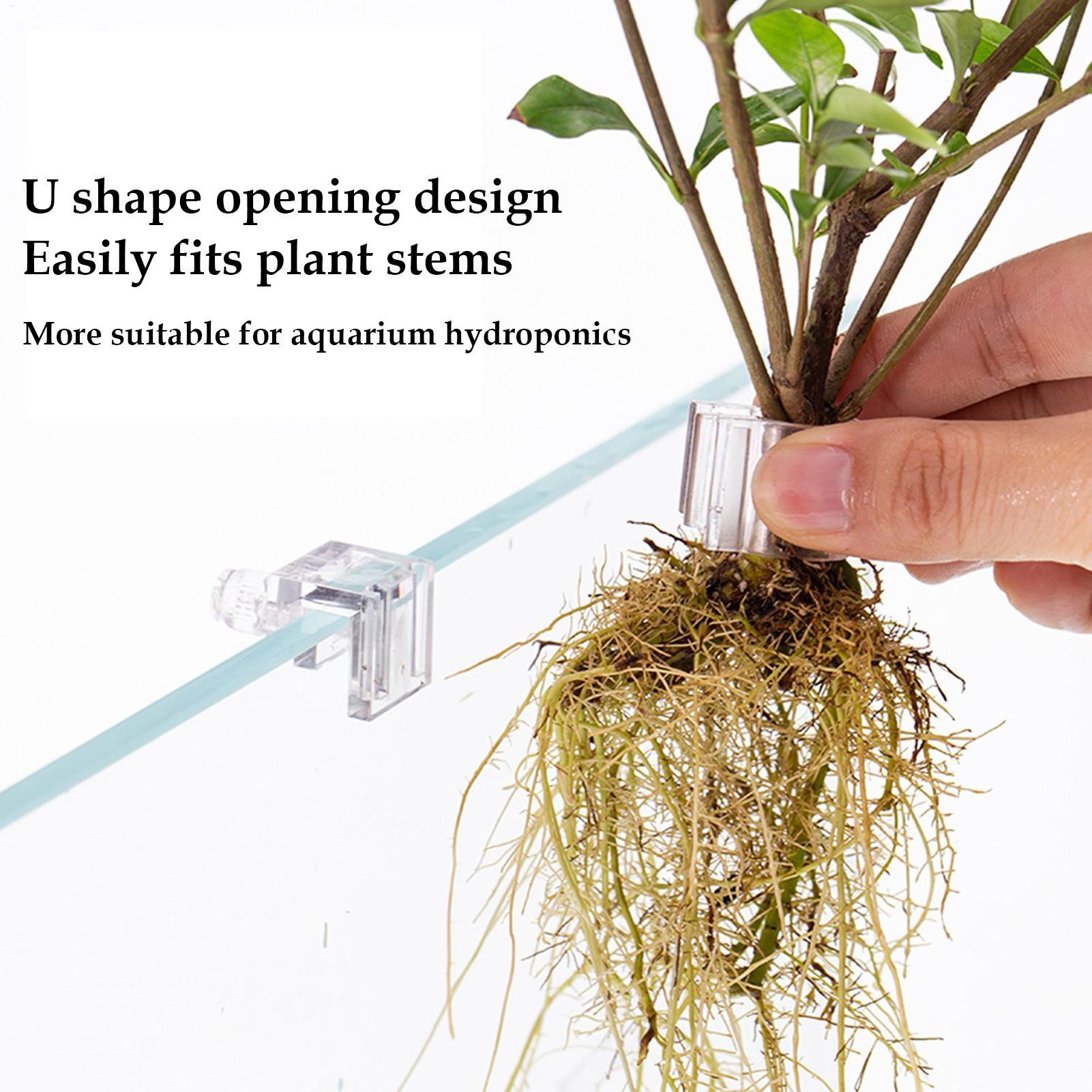 Aquarium-Pflanzenhalter, 6 Stü – Aquarium Planted Soil Bewertung und Preis