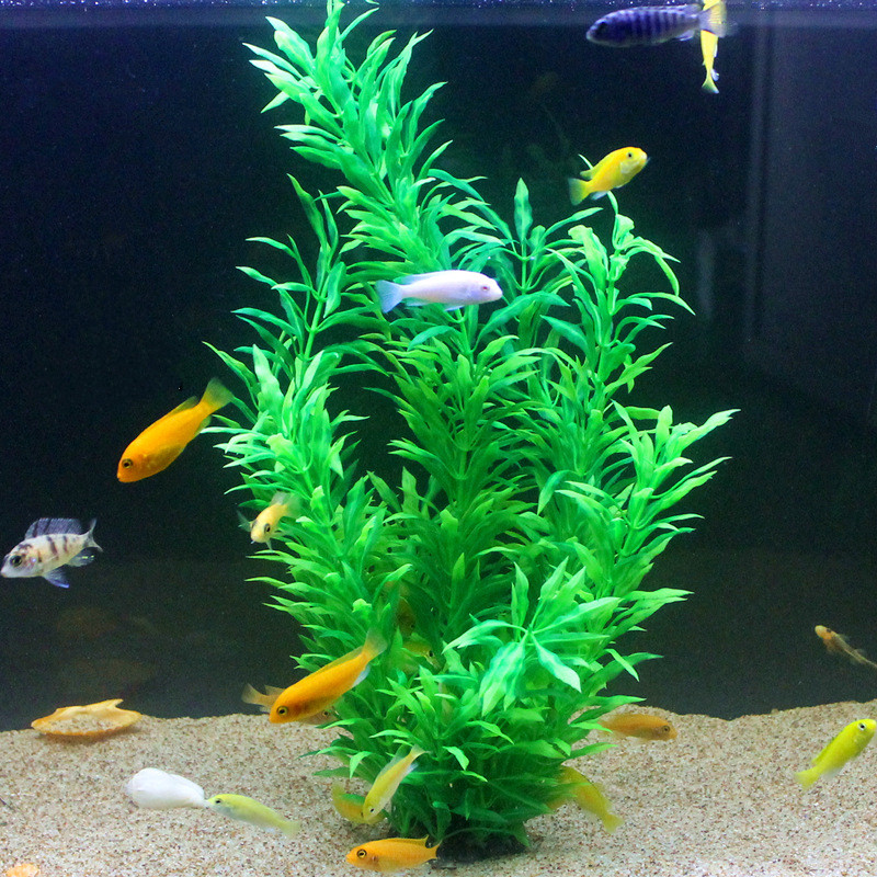 50CM Künstliche Aquarium Selte – Aquarium Plant Ornament Bewertung und Preis