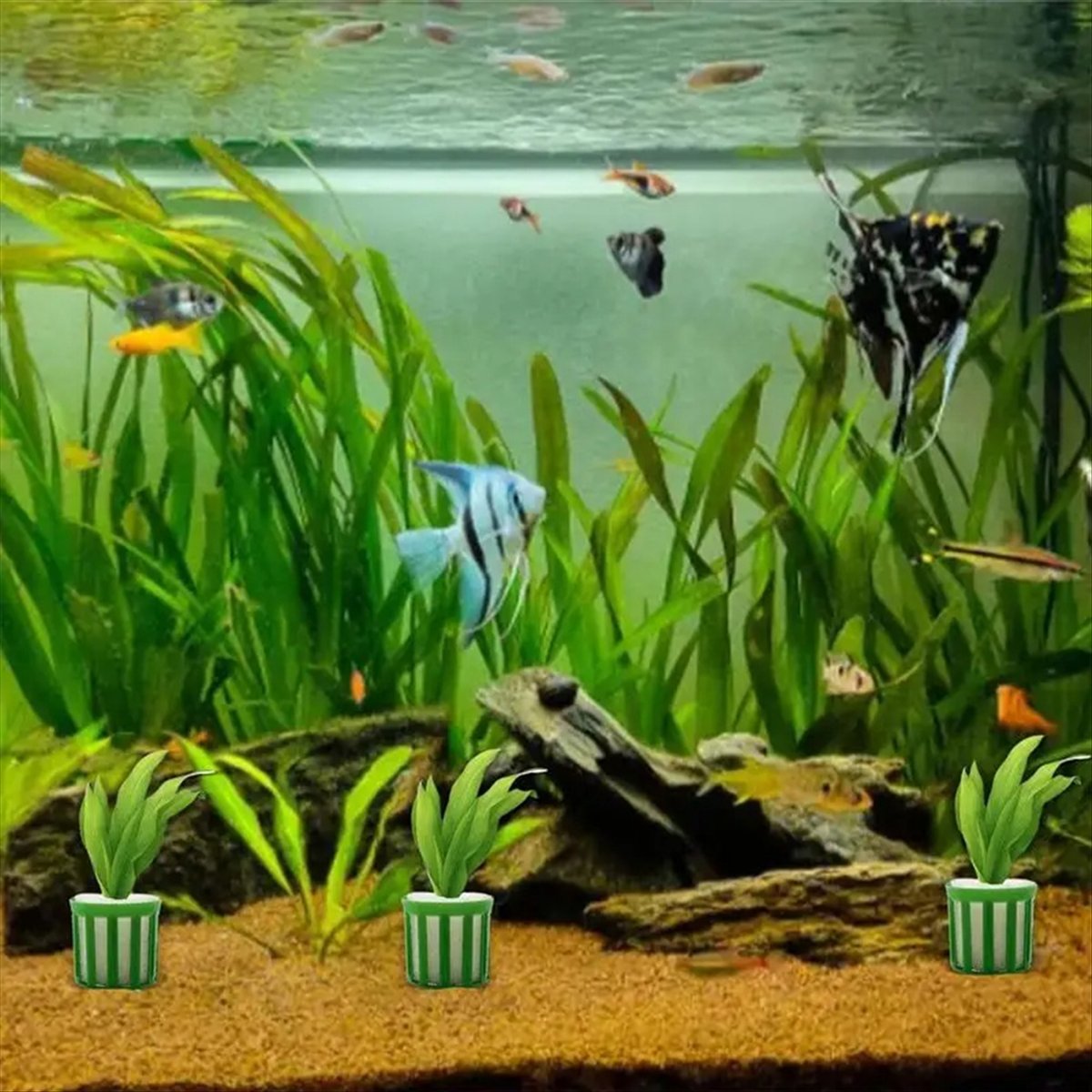 ABNQ Aquatische Pflanzenhalter – Planted Aquarium Tool Kit Bewertung und Preis
