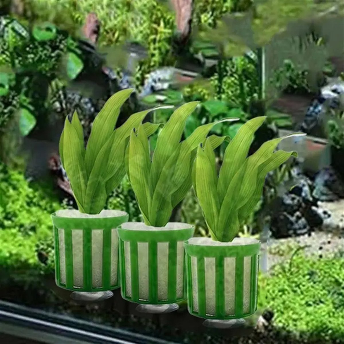 ABNQ Aquatische Pflanzenhalter – Planted Aquarium Tool Kit Bewertung und Preis